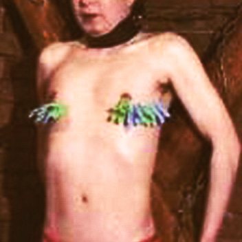 乳首洗濯ばさみ